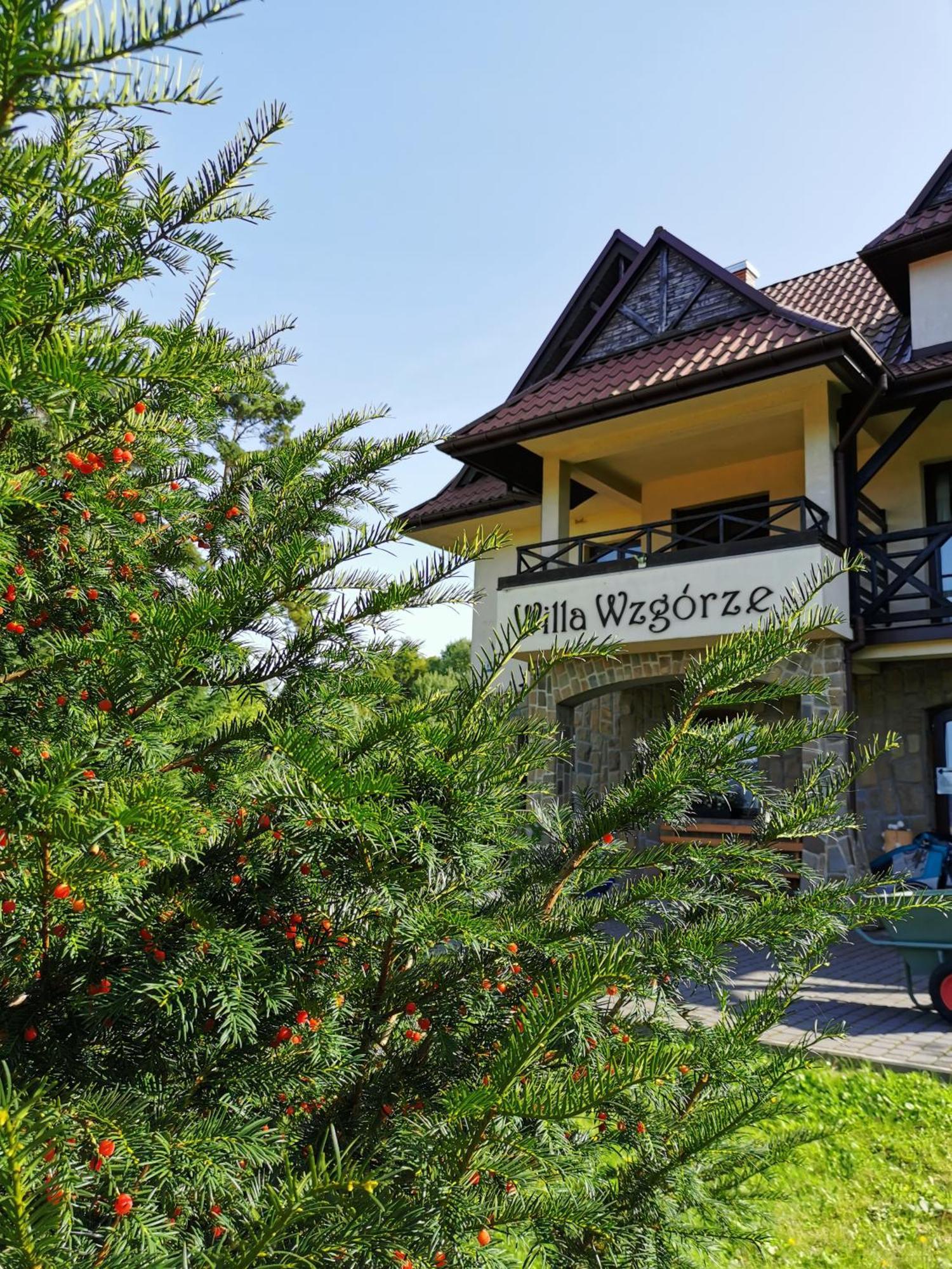 Willa Wzgorze Niedzica Zamek Ngoại thất bức ảnh